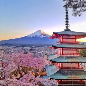 Honeymoon Fund 🌸🇯🇵