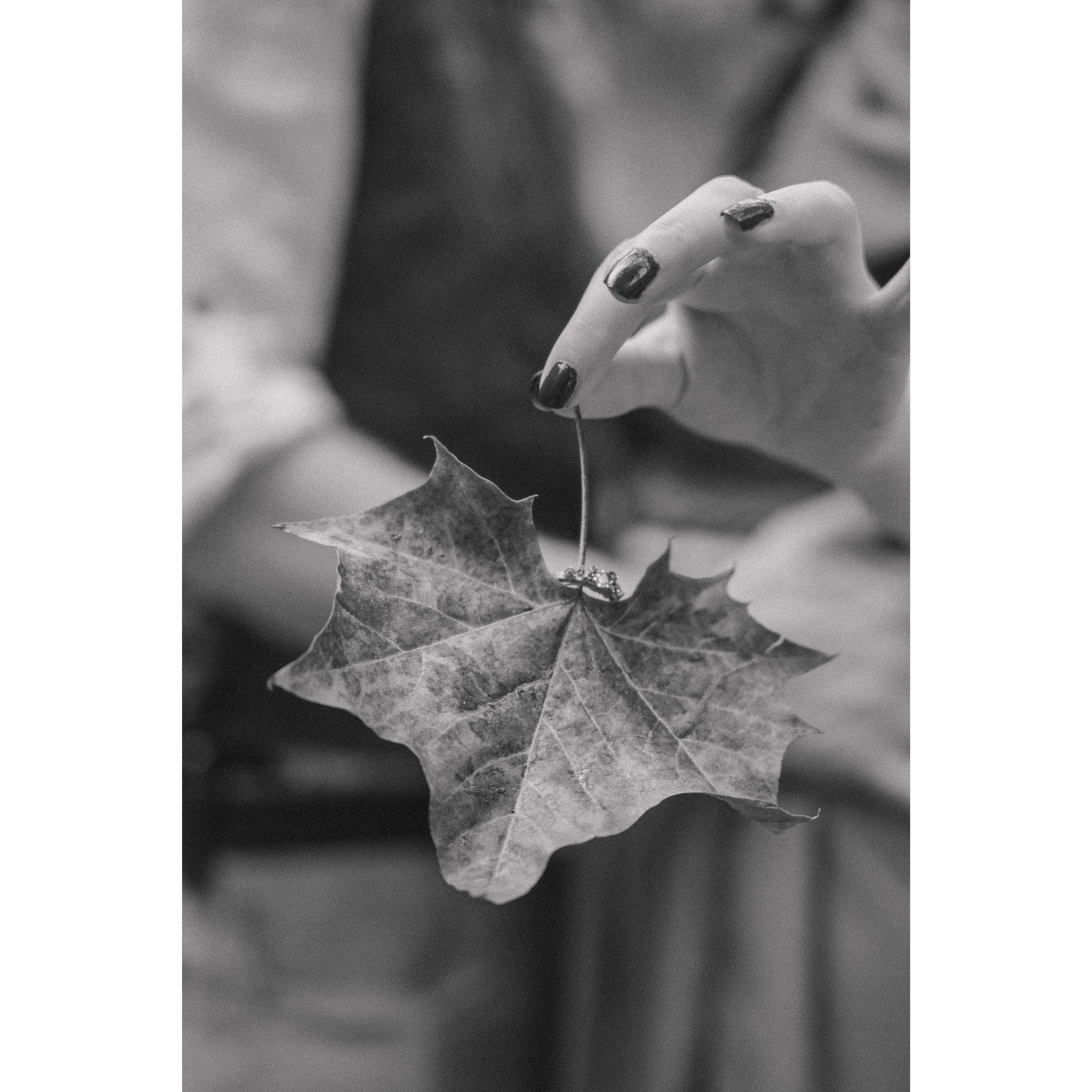 Photo Courtesy of Haley Pettit Photography || Location: Muscatatuck Park North Vernon, IN 47265