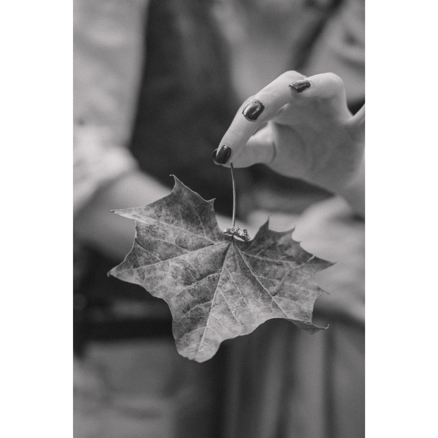 Photo Courtesy of Haley Pettit Photography || Location: Muscatatuck Park North Vernon, IN 47265