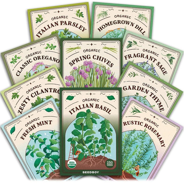Seedboy Organic 10 Herb Variety Pack: Basil, Cilantro Mint Oregano Parsley Thyme Chives Dill Sage Rosemary for Planting Indoor and Outdoor, 5460 Non-GMO USDA Certified Seeds (10 Herb Variety Pack)