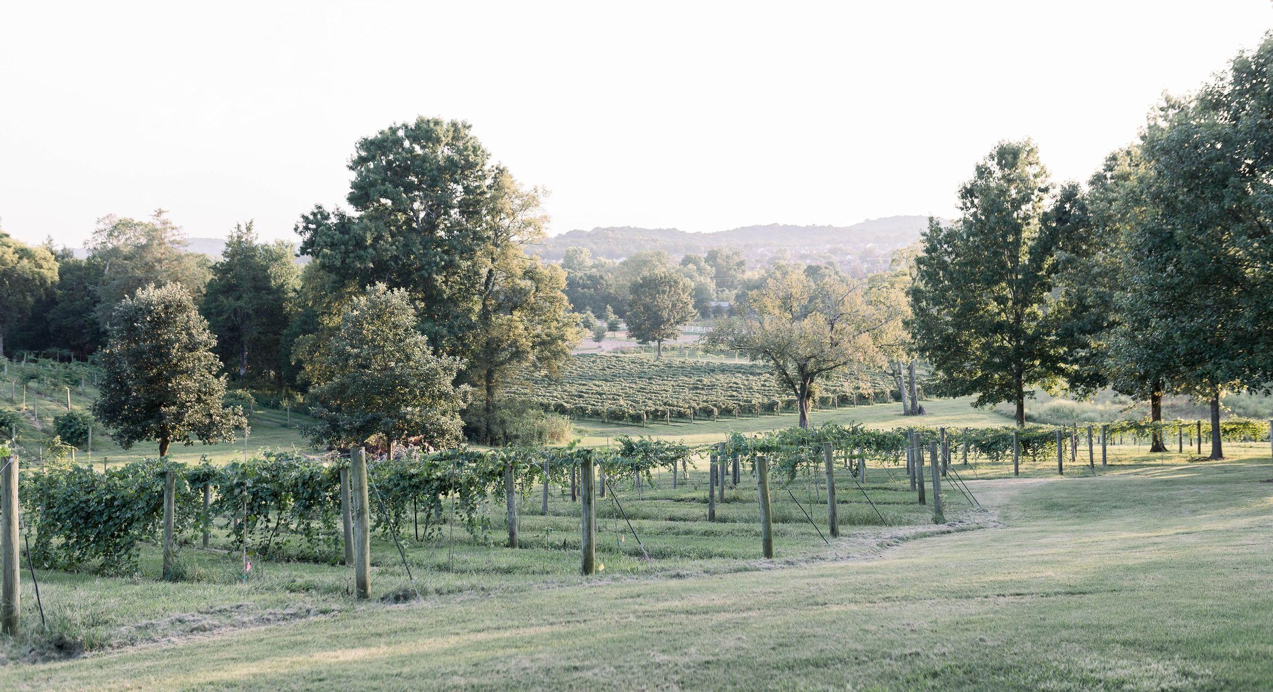The Wedding Website of Taylor Holt and Chandler Barnes