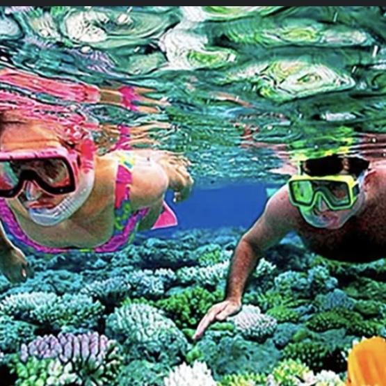 Snorkeling Excursion in Sumba