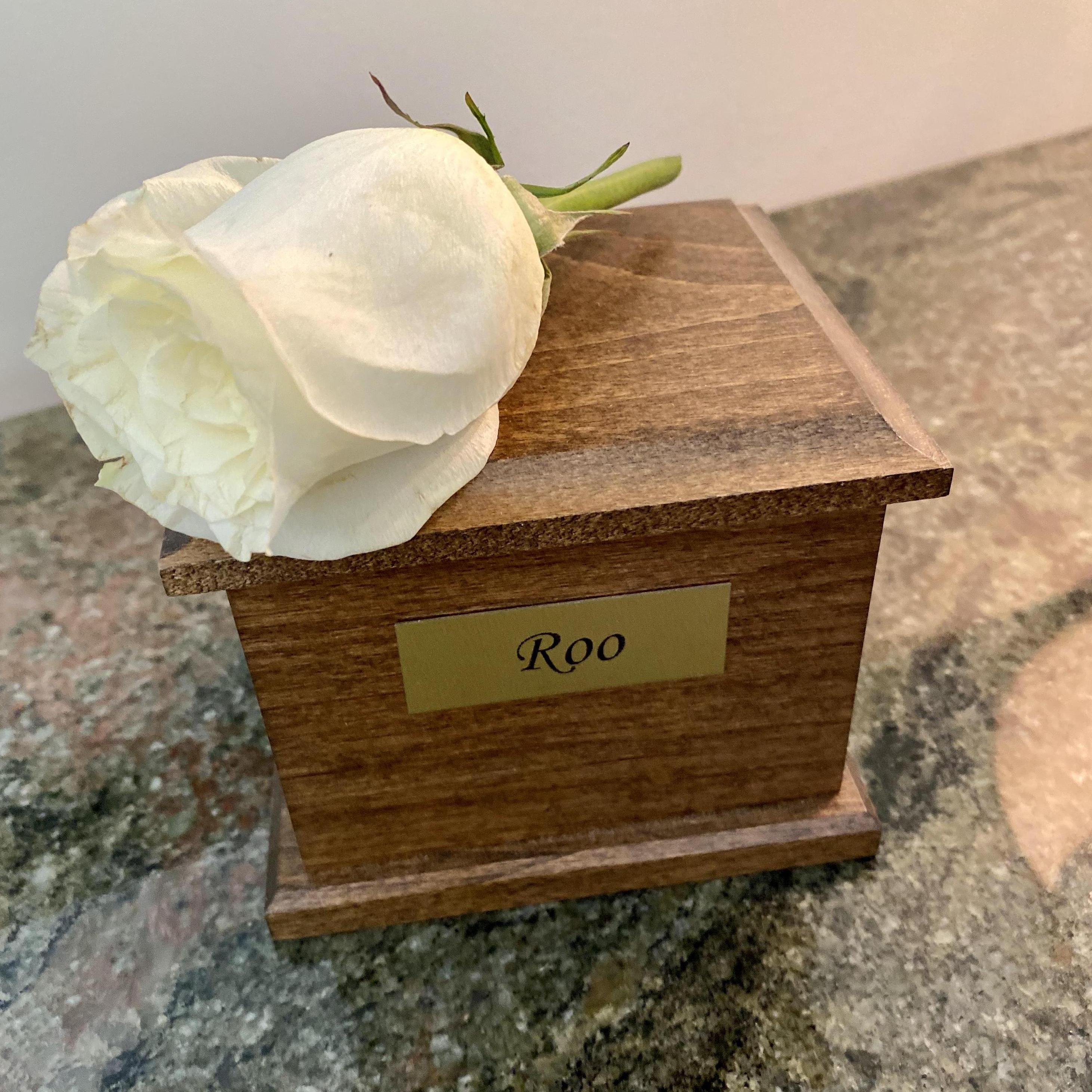 The day would not have been complete without the presence of our beloved Roo-dog. 4/2005-4/2019