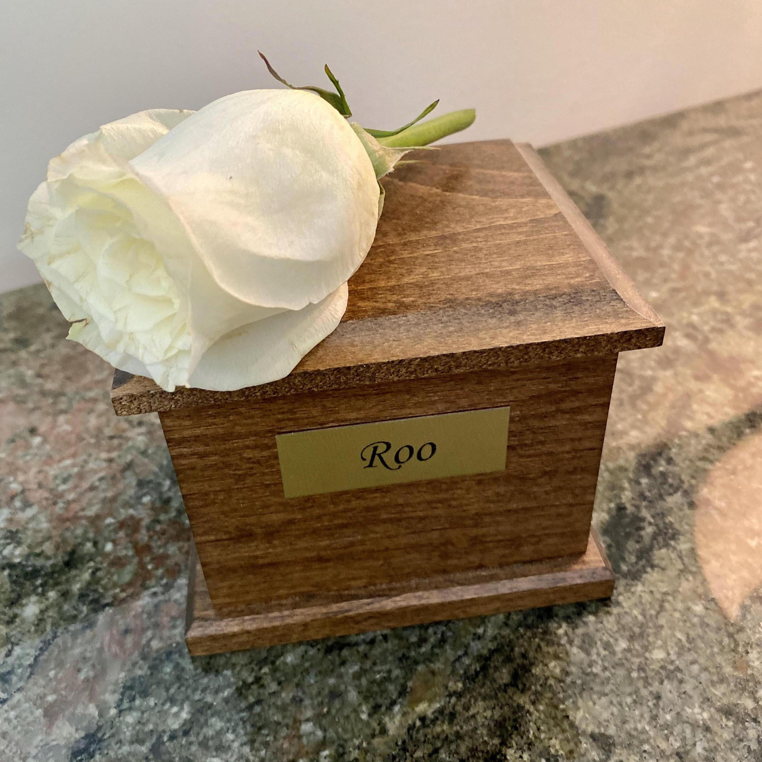 The day would not have been complete without the presence of our beloved Roo-dog. 4/2005-4/2019