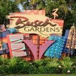 Busch Gardens Tampa Bay