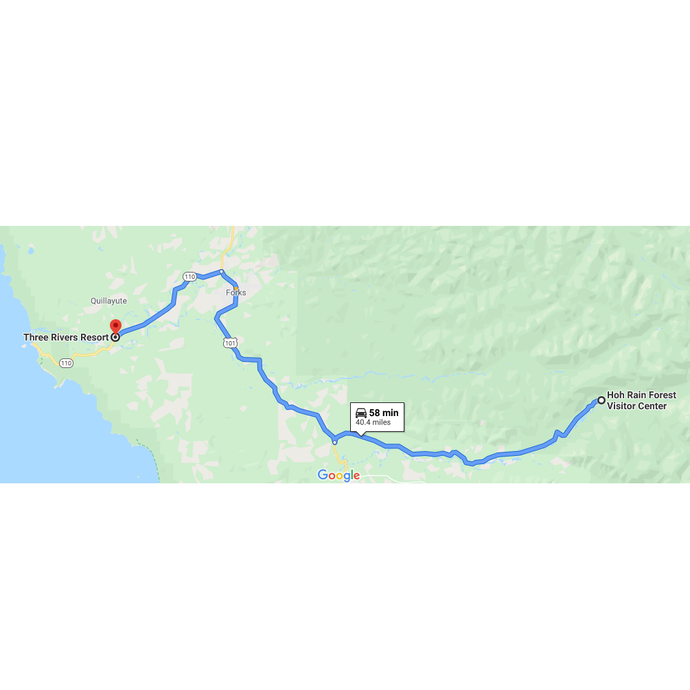 After the Ceremony and photos, we plan to return to our cabin for a potluck dinner. For those who would like to join, please follow the following directions
https://goo.gl/maps/3Dr1yzNas4j6bRXE7