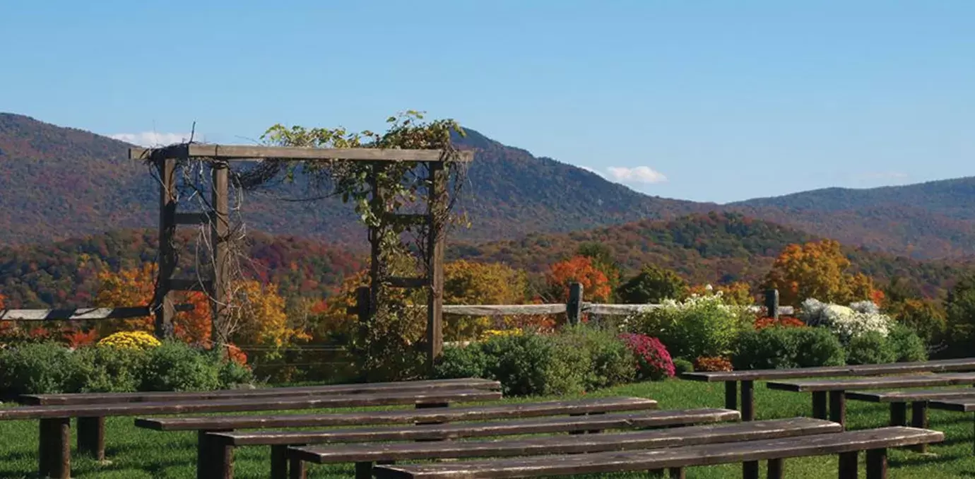 The Wedding Website of Catherine Grace and Cameron Nelson Burbank