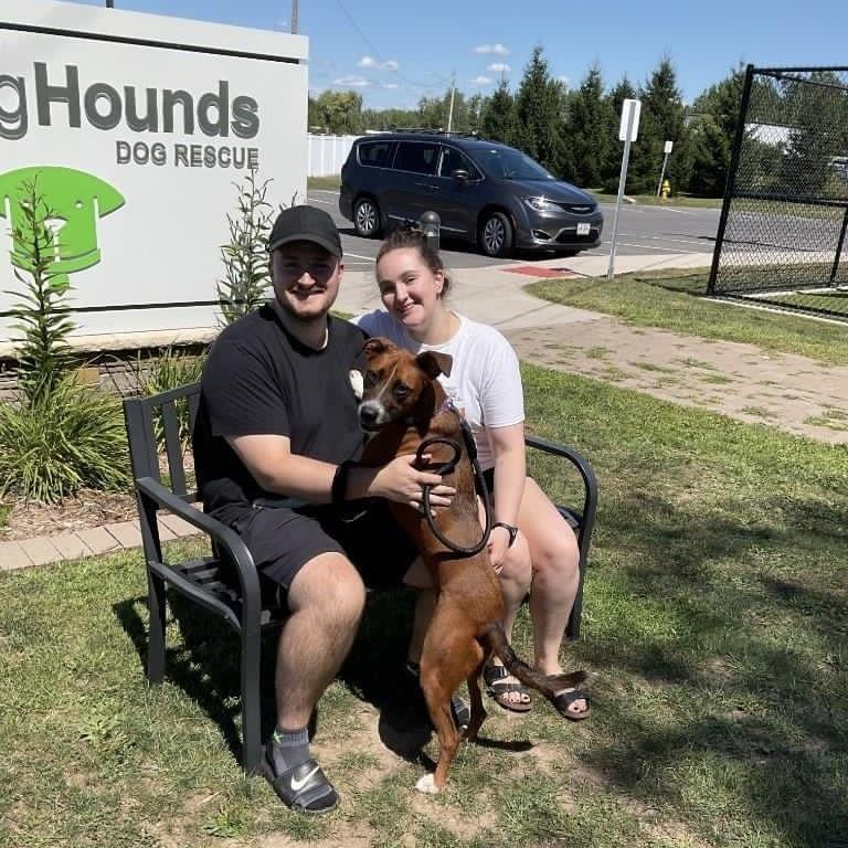 September 2022 - The day we adopted Nori (formerly Nova)