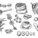 Onyx Tonics Specialty Coffee