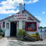 Lobster Landing