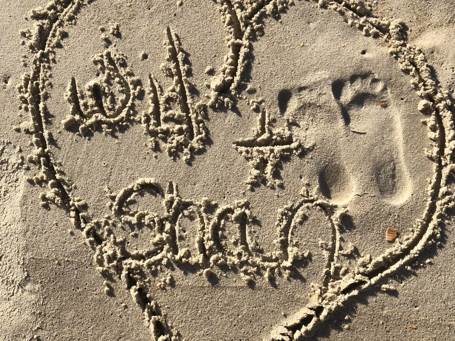 The Wedding Website of Shannon Jordan and Wil Jordan