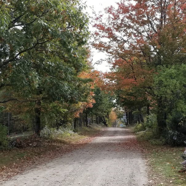 A tree-lined dirt road leads you to and from the venue.