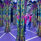 Tricklandia