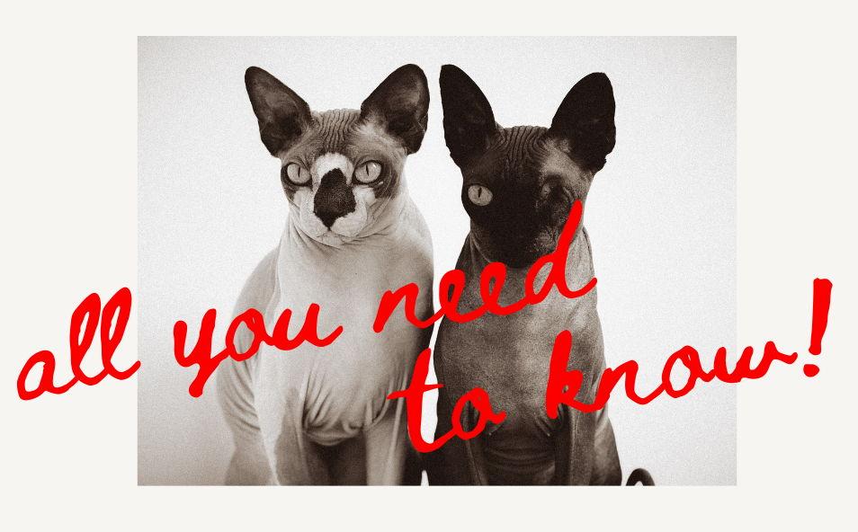 The Wedding Website of lauren charleton and ben griffin