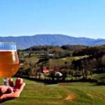 Halcyon Days Cider Co + Orchard Labyrinth