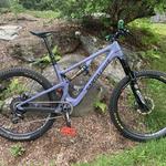 Cady Hill Forest