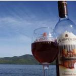 Adirondack Winery & Extreme Heights Cidery Lake George Tasting Room