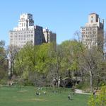 Walk in Prospect Park