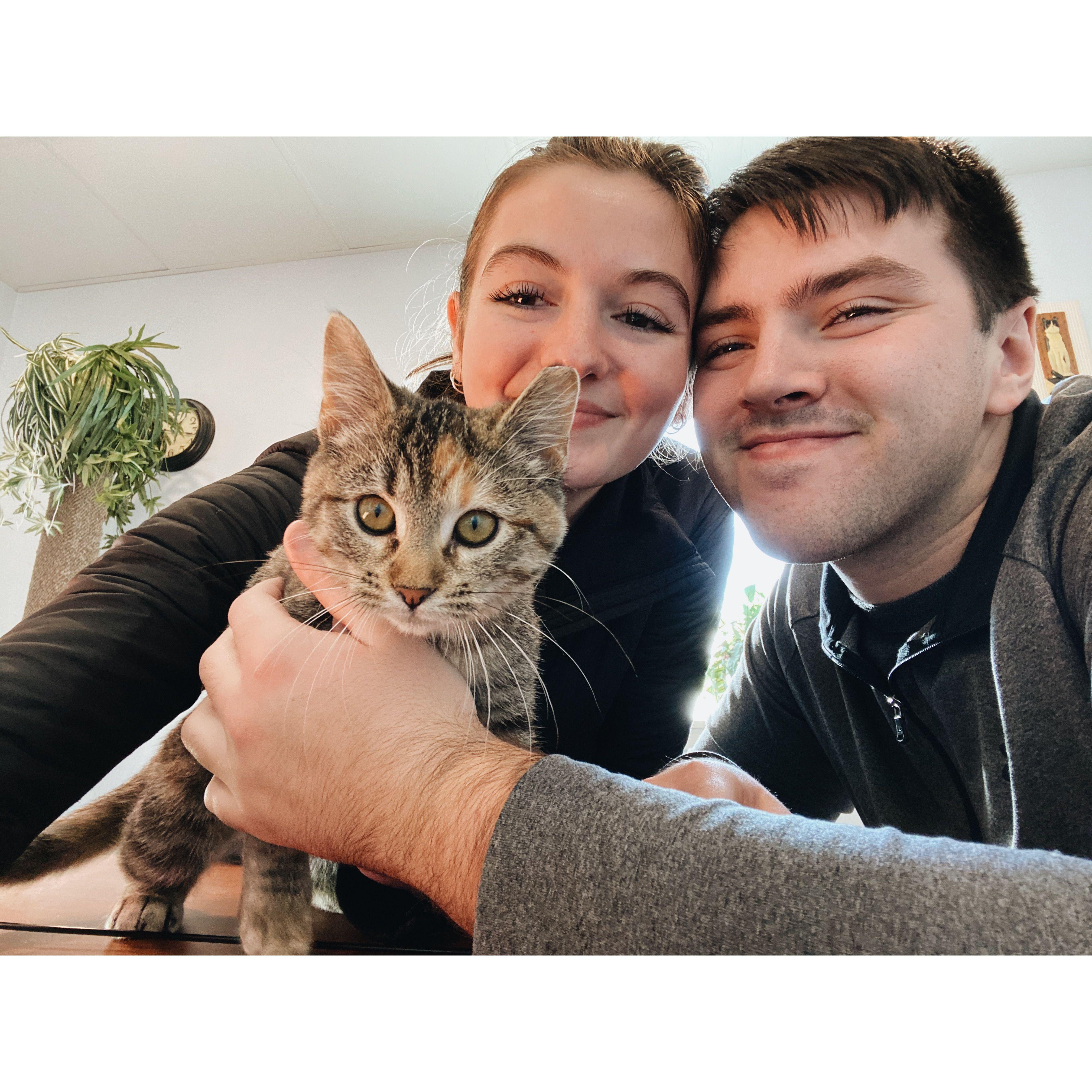 Papa's Cat Cafe