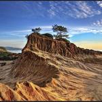 Torrey Pines State Natural Reserve