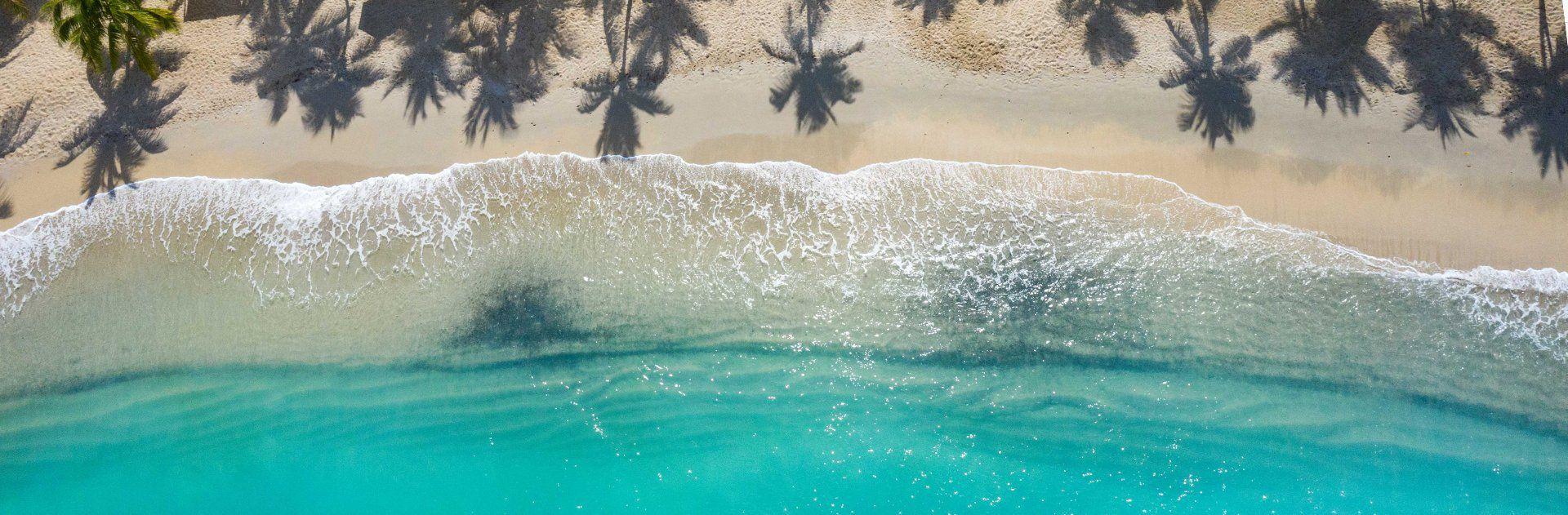 The Wedding Website of Yaira Ortiz and Samuel Aberdeen