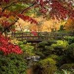 Portland Japanese Garden