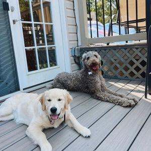 Maple and Murphy Treat Fund