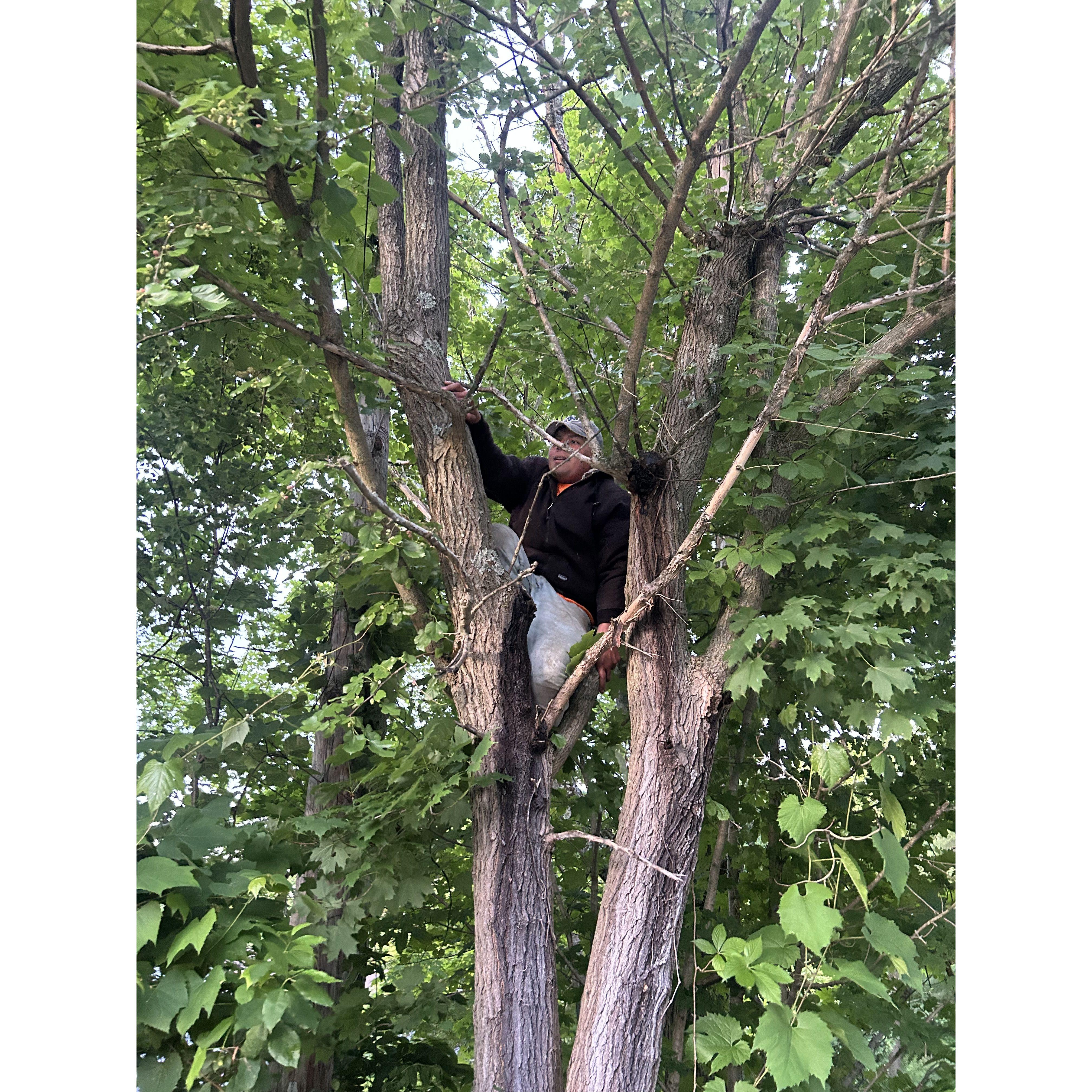 Jonathan picking berries for Alexis