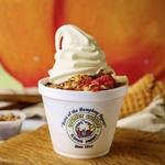 Counter Culture - Sandwiches & Frozen Yogurt