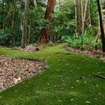 Booderee Botanic Gardens