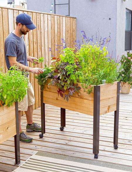 Rolling Cedar Patio Garden