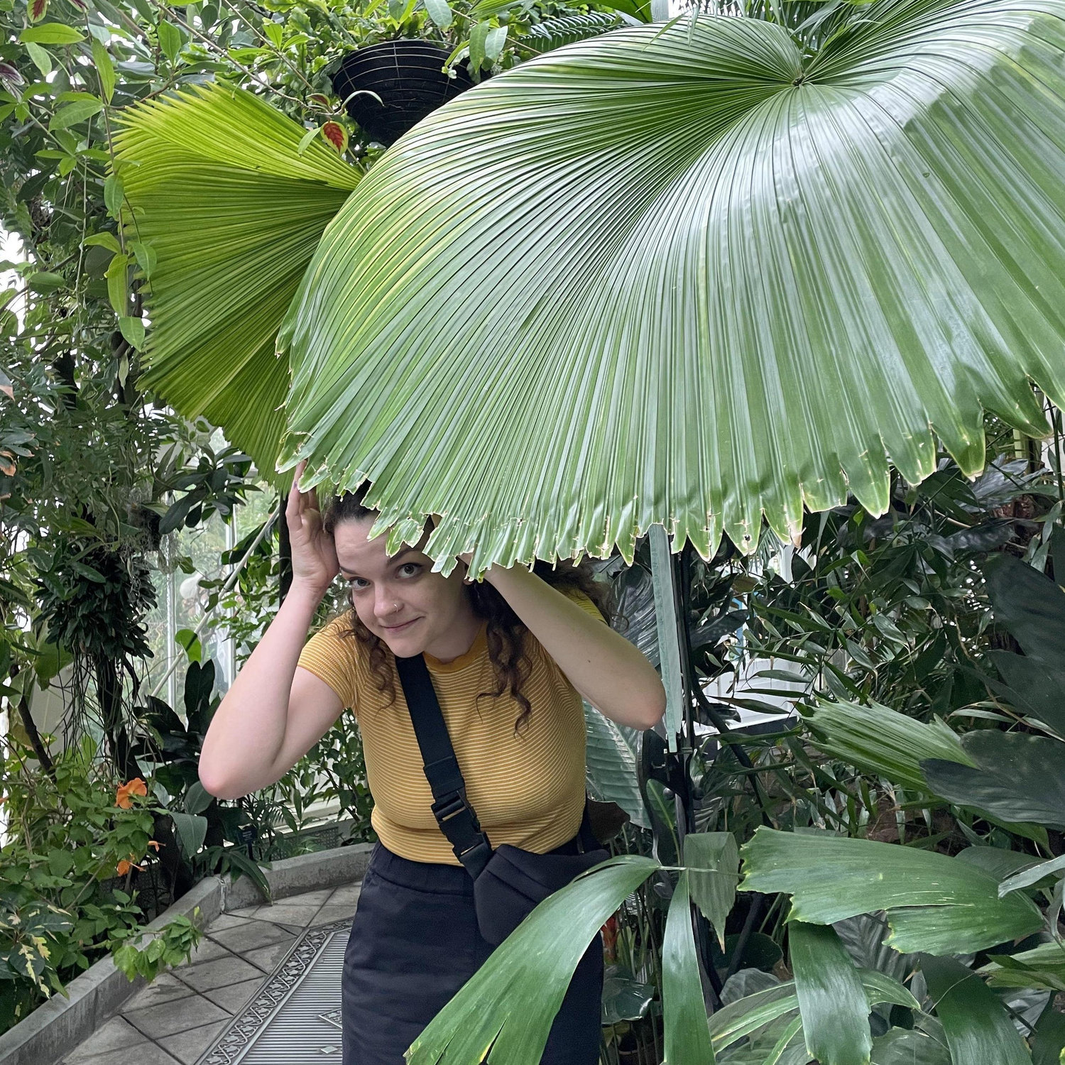 Our favorite memory from San Francisco: exploring the botanic garden!