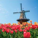 Tulip Time