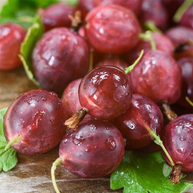 Hinnonmaki Red Gooseberry