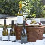 Edna Valley Vineyard