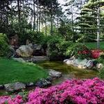 Descanso Gardens