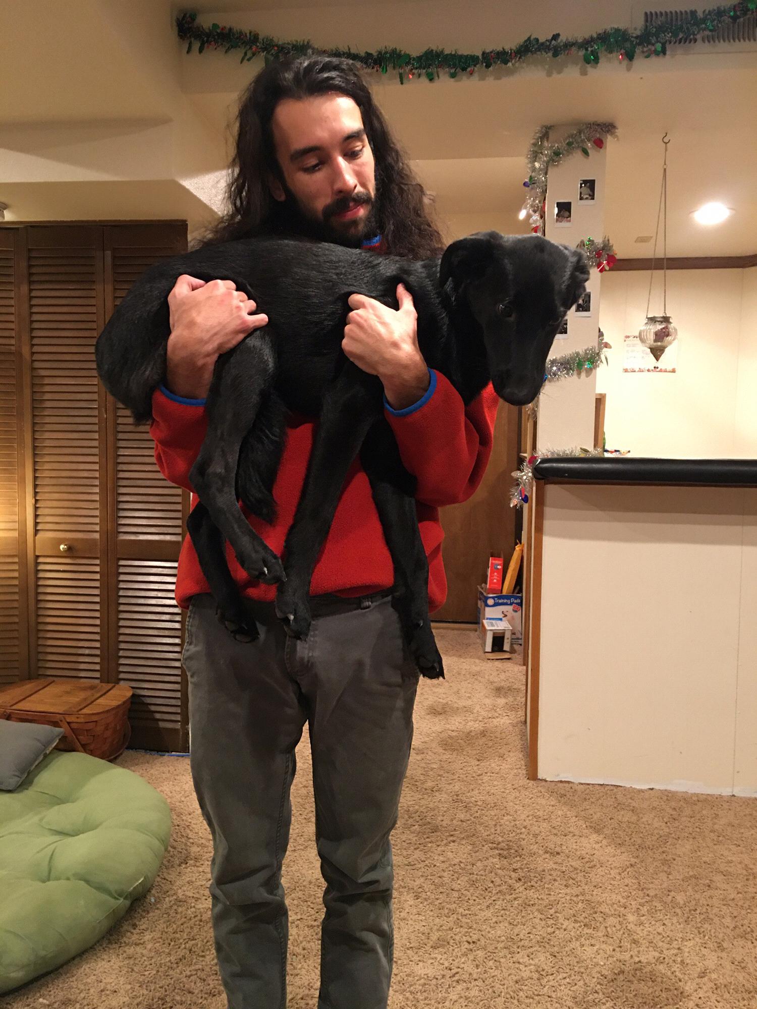 Our sweet baby girl, and the only way she's willing to be carried.