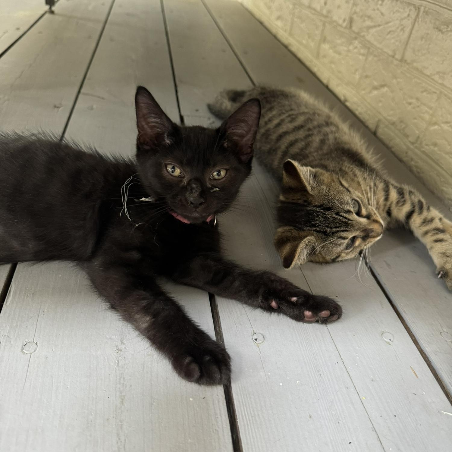 Meeting our boys 🫶🏻