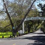 Irvine Regional Park