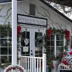 Draper Blooms Tea Garden