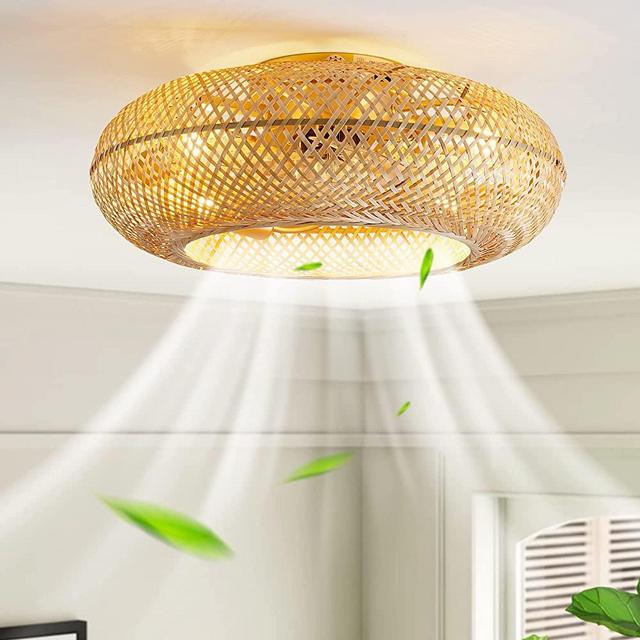 hummingbird 20" Boho Ceiling Fans with Lights and Remote,Rattan Flush Mount Ceiling Fan with Light, Low Profile Enclosed Bladeless Ceiling Fan Reversible,Rustic Farmhouse Bamboo Caged for bedroom