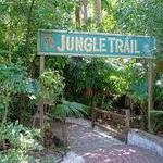 Sarasota Jungle Gardens