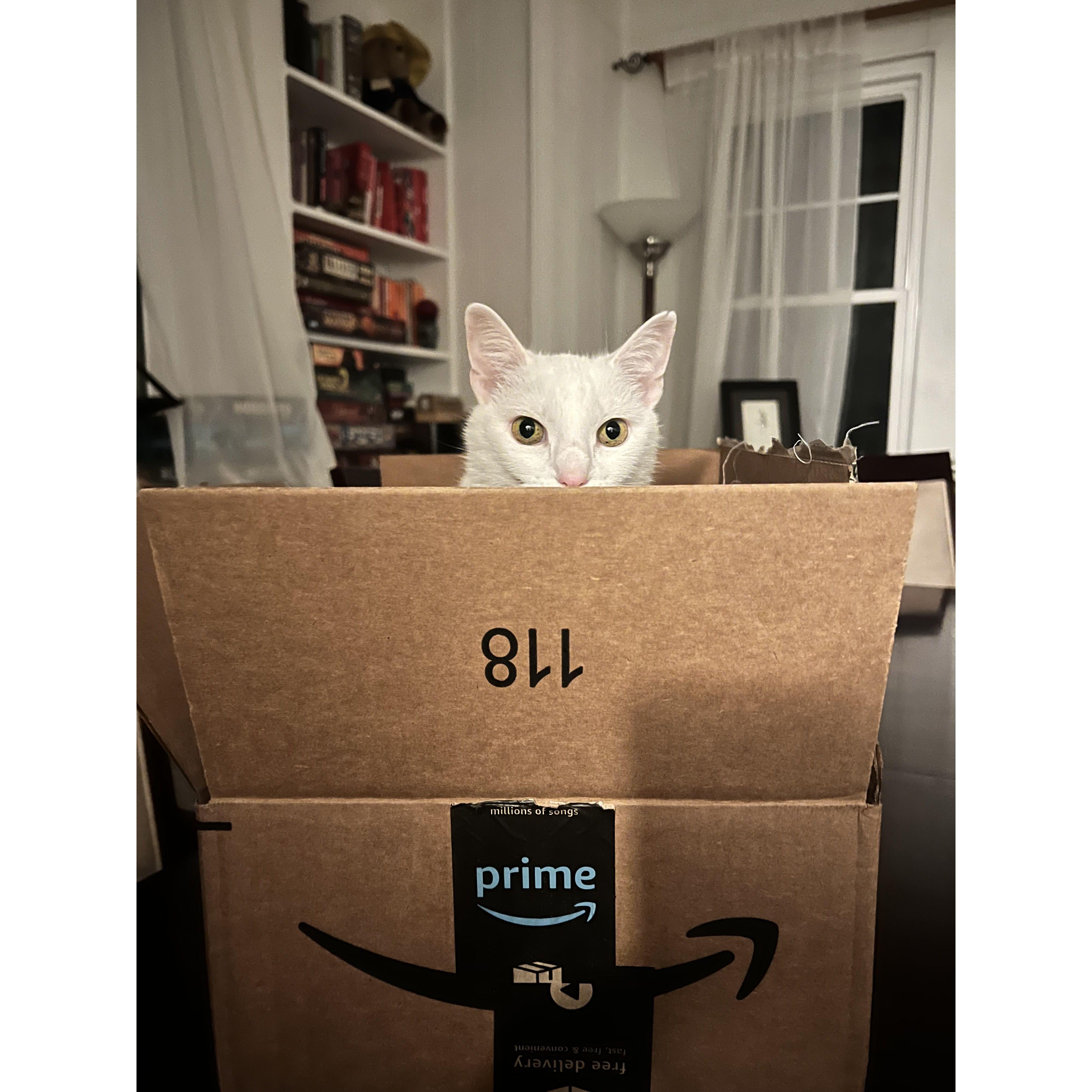 What's in the box?