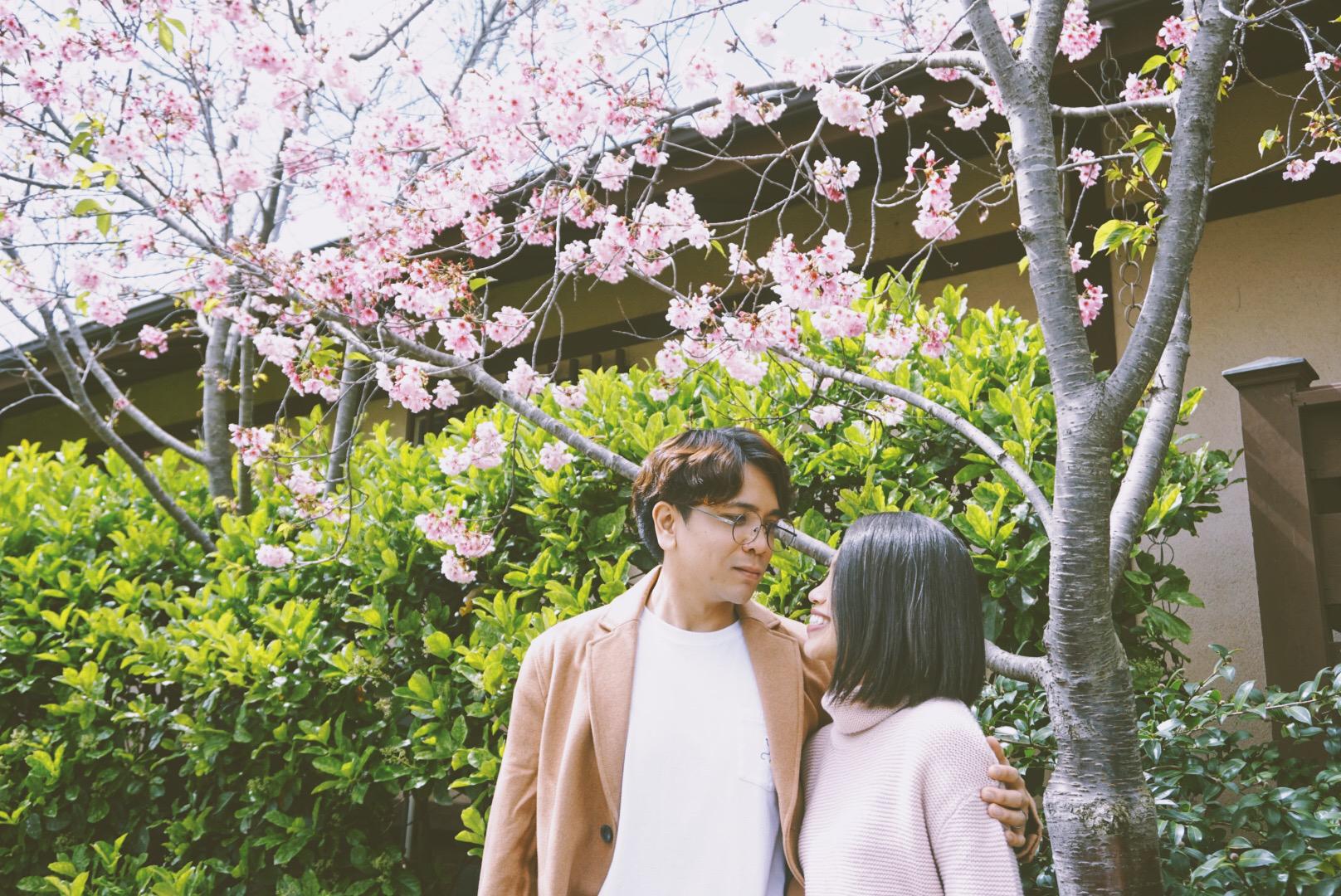 Cherry blossom month - 2018