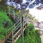 Macondray Lane