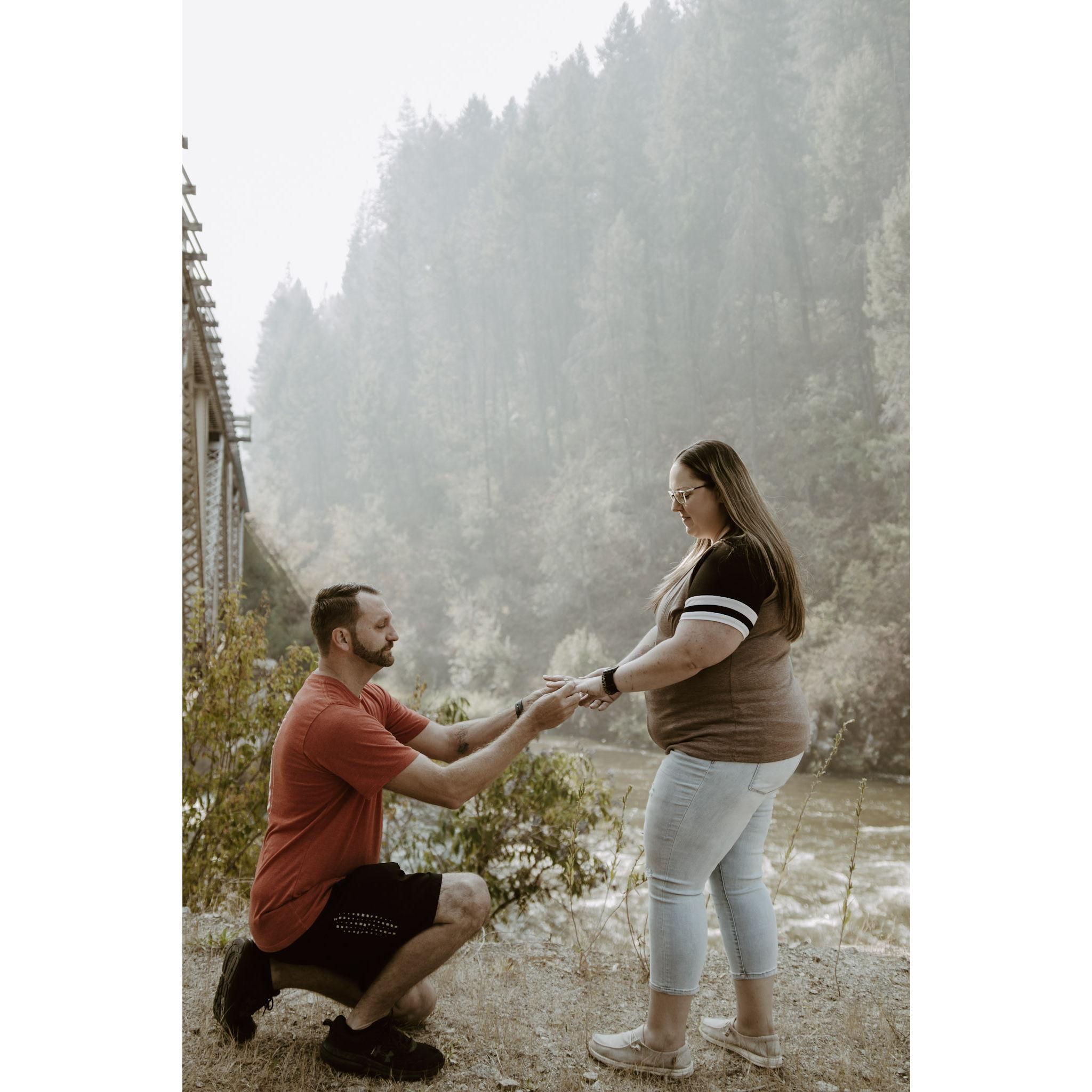 Proposal August 2024