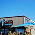Blue Palm Frozen Yogurt