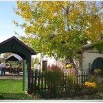 Harpersfield Vineyard