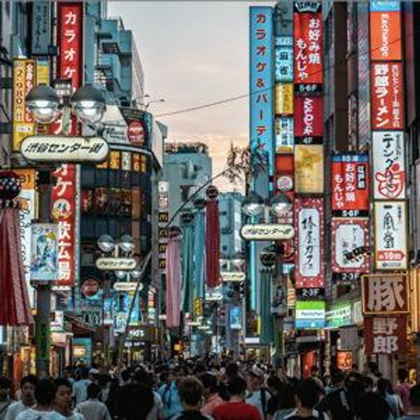 Honeymoon in Japan!