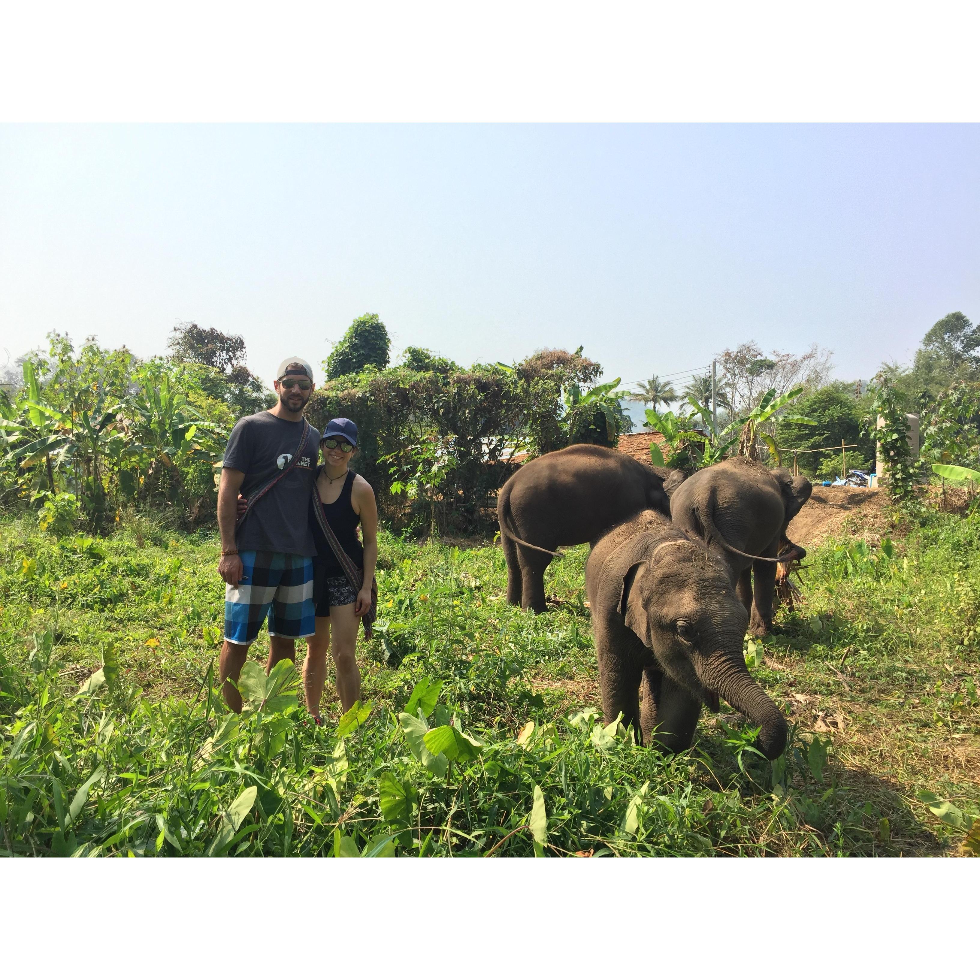 Exploring Thailand and meeting new friends